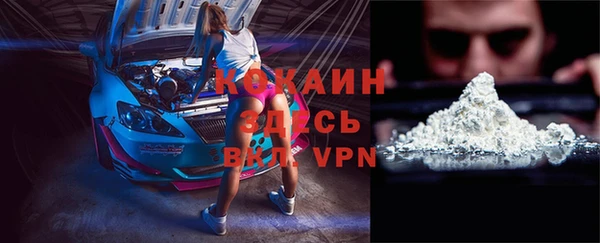 молекула духа Бородино