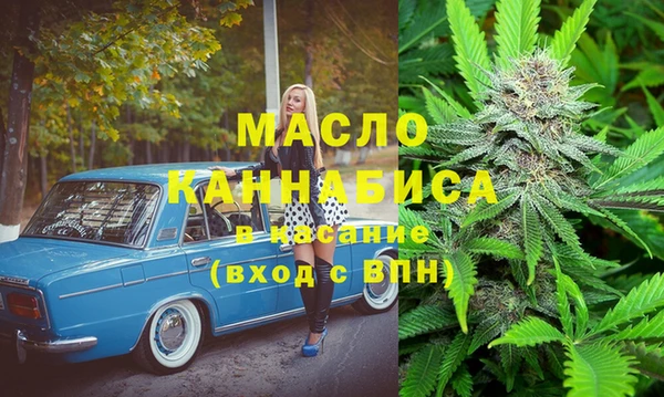 молекула духа Бородино