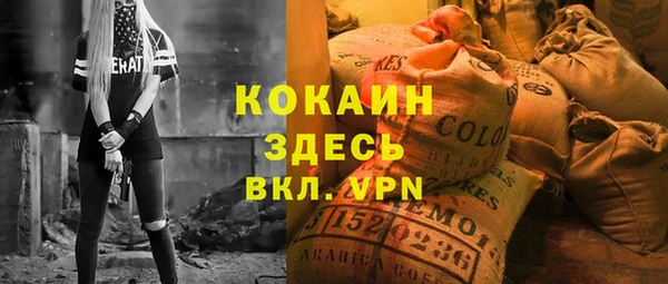 молекула духа Бородино