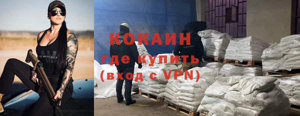 молекула духа Бородино