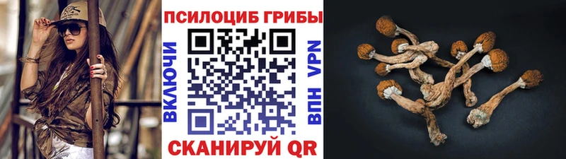 Псилоцибиновые грибы GOLDEN TEACHER  цены наркотик  Горняк 
