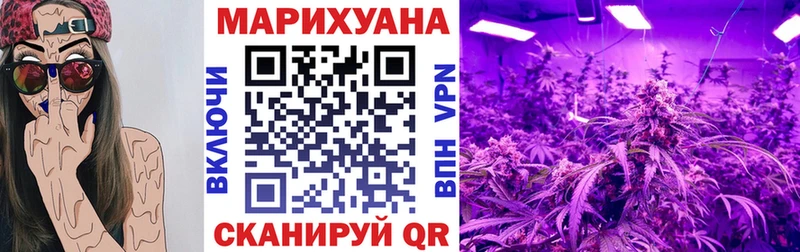 даркнет наркотические препараты  Горняк  Конопля планчик 